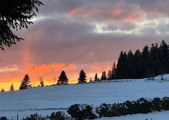 Chalet Galla