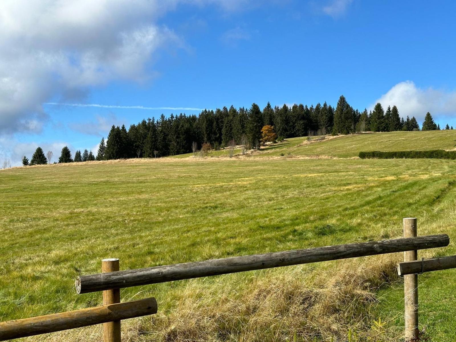 Galla Chalet