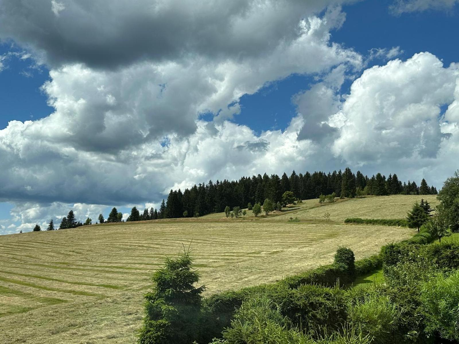 Galla Chalet